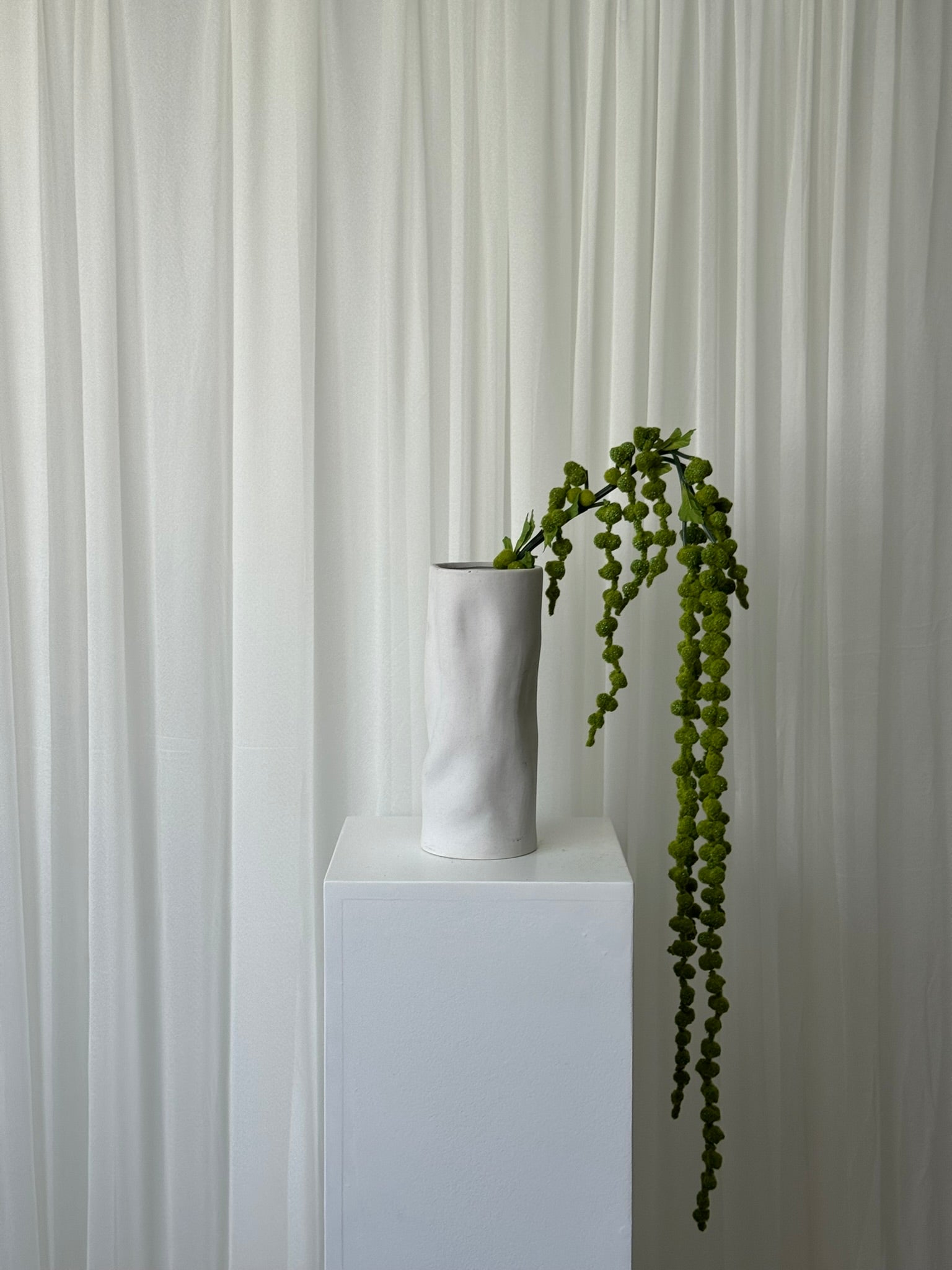 Amaranthus