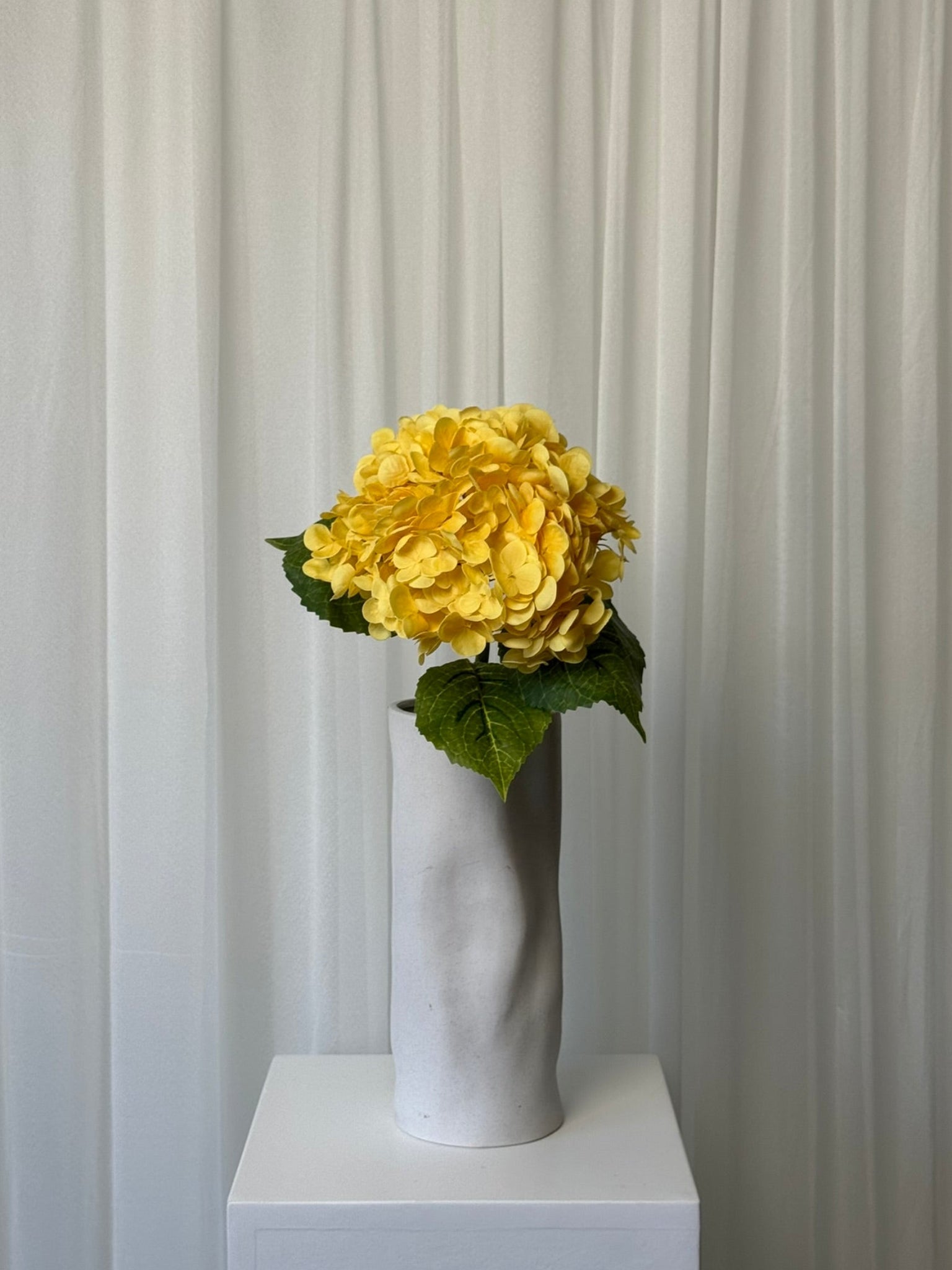 Hortênsias