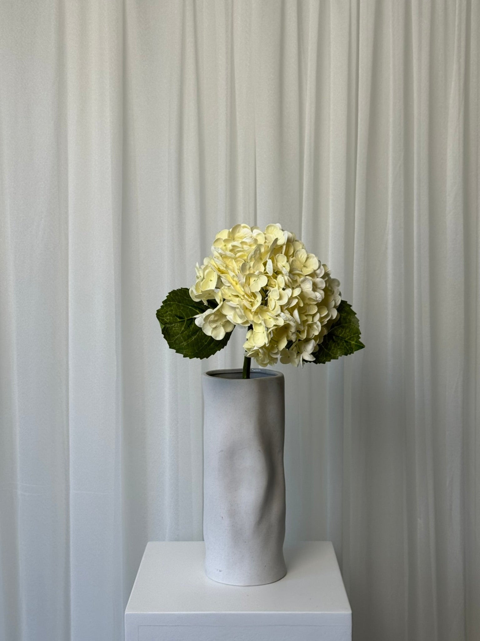 Hortênsias