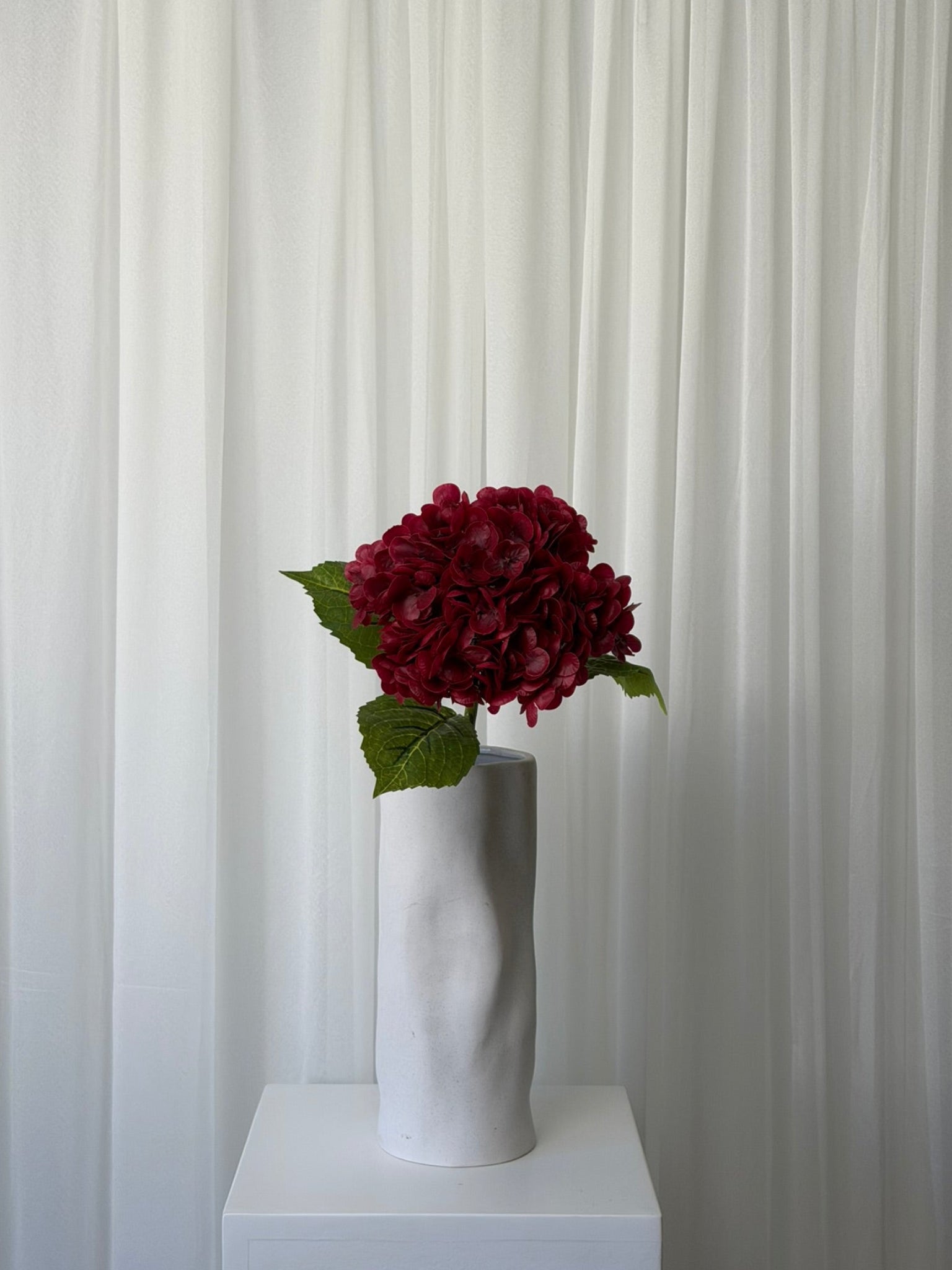 Hortênsias