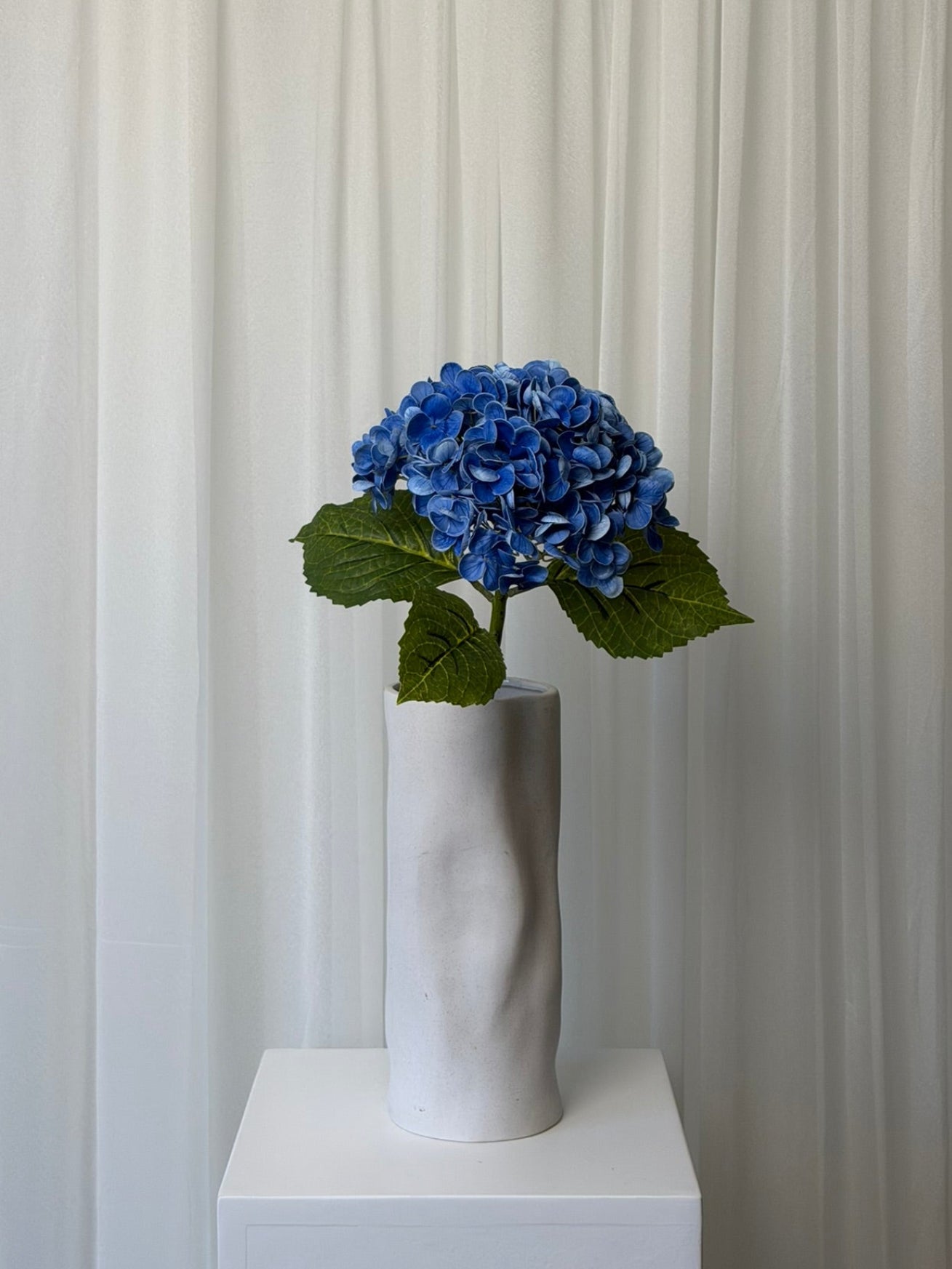 Hortênsias