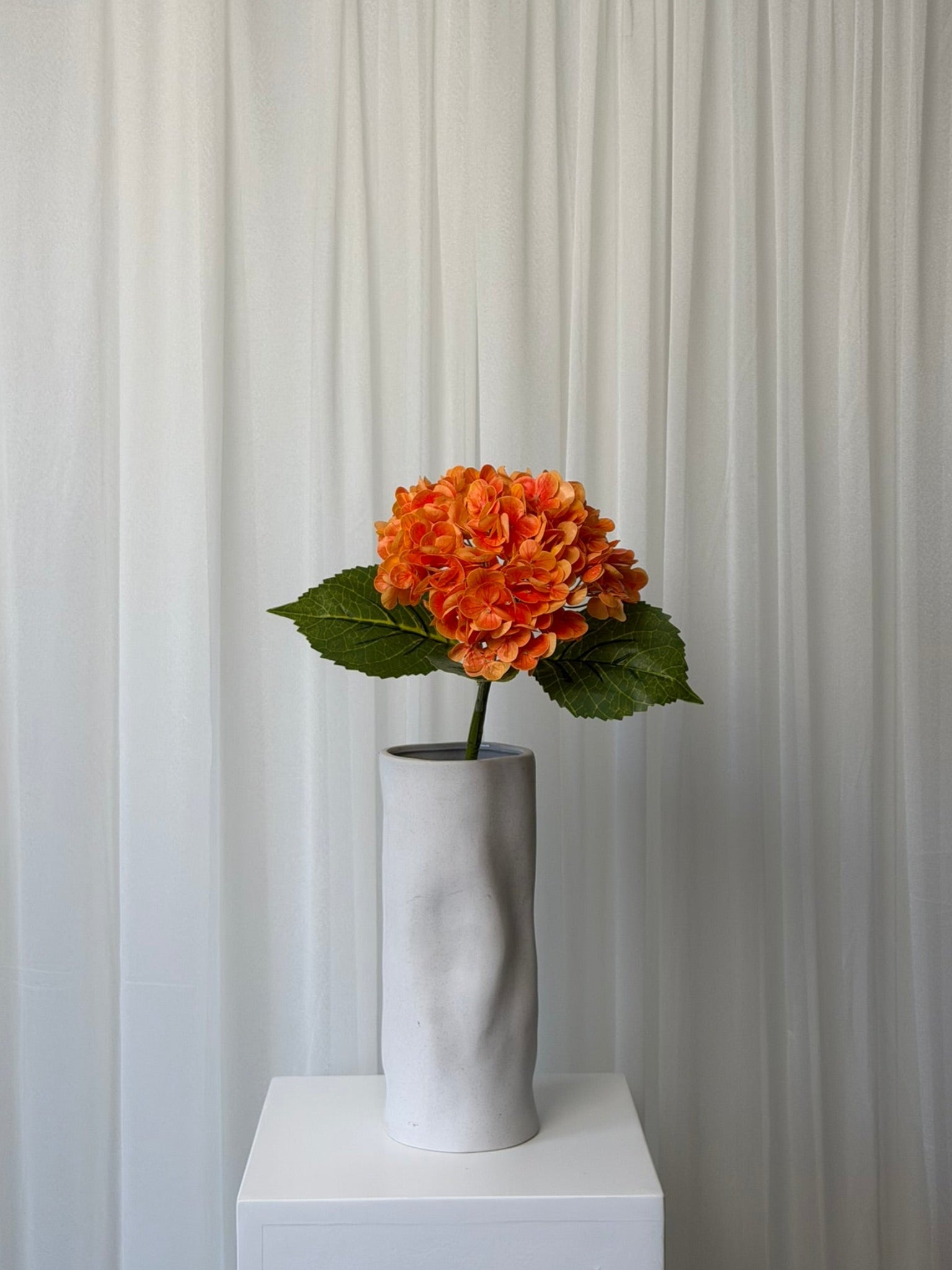 Hortênsias