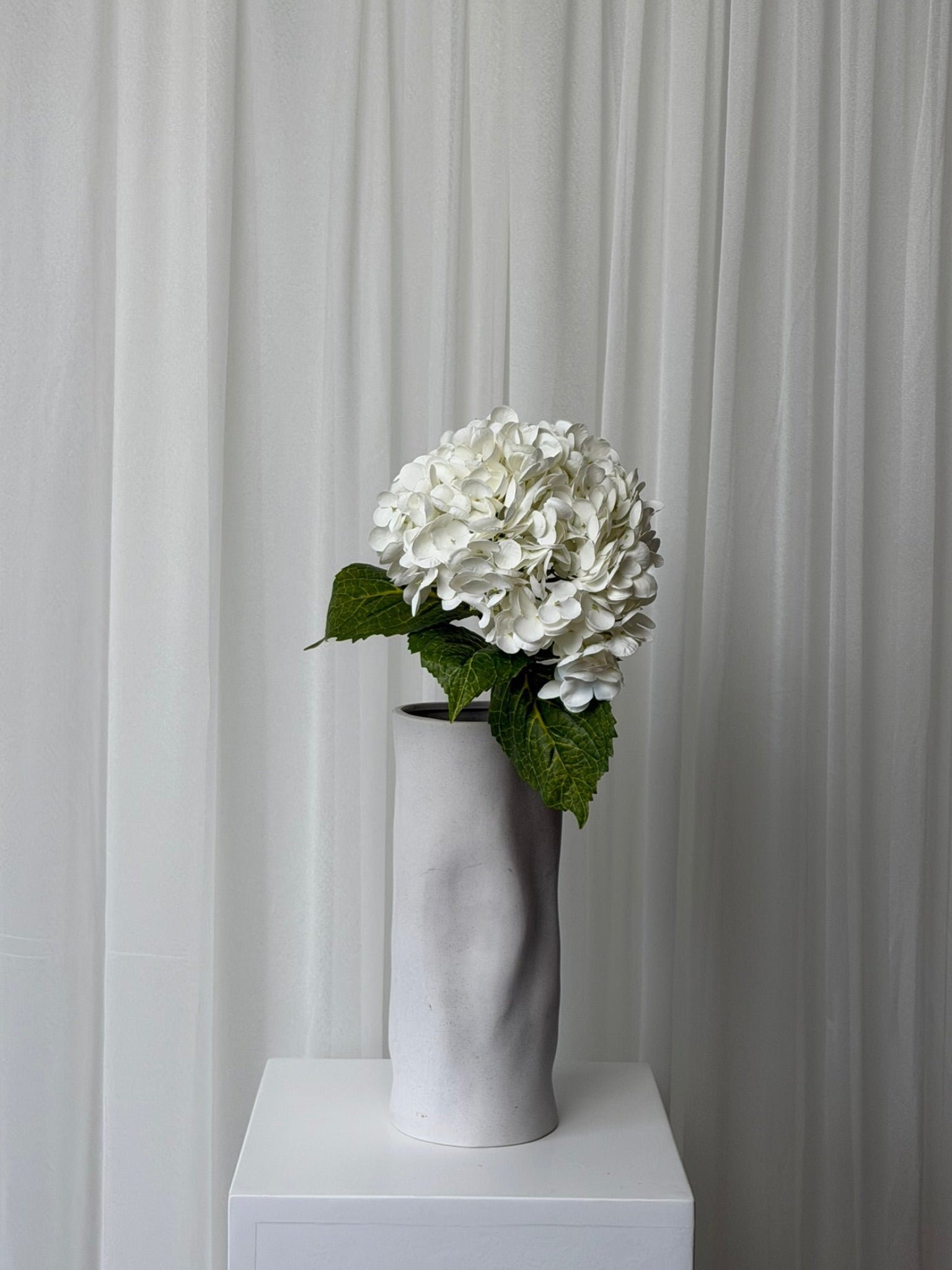 Hortênsias