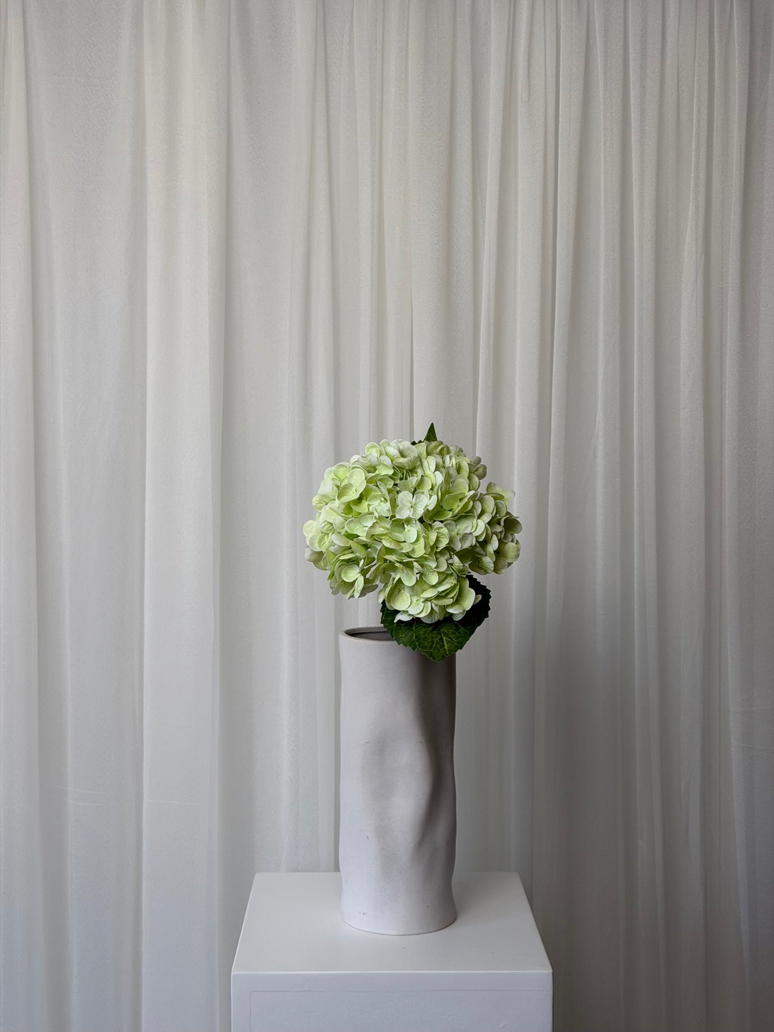 Hortênsias