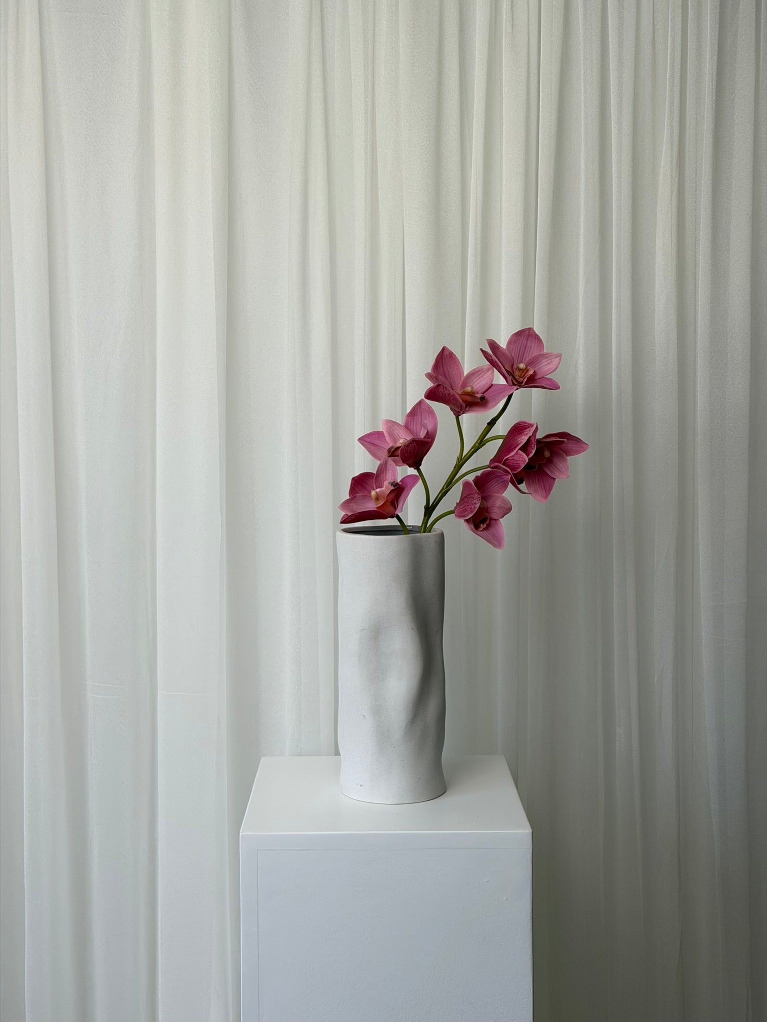 Orquídea