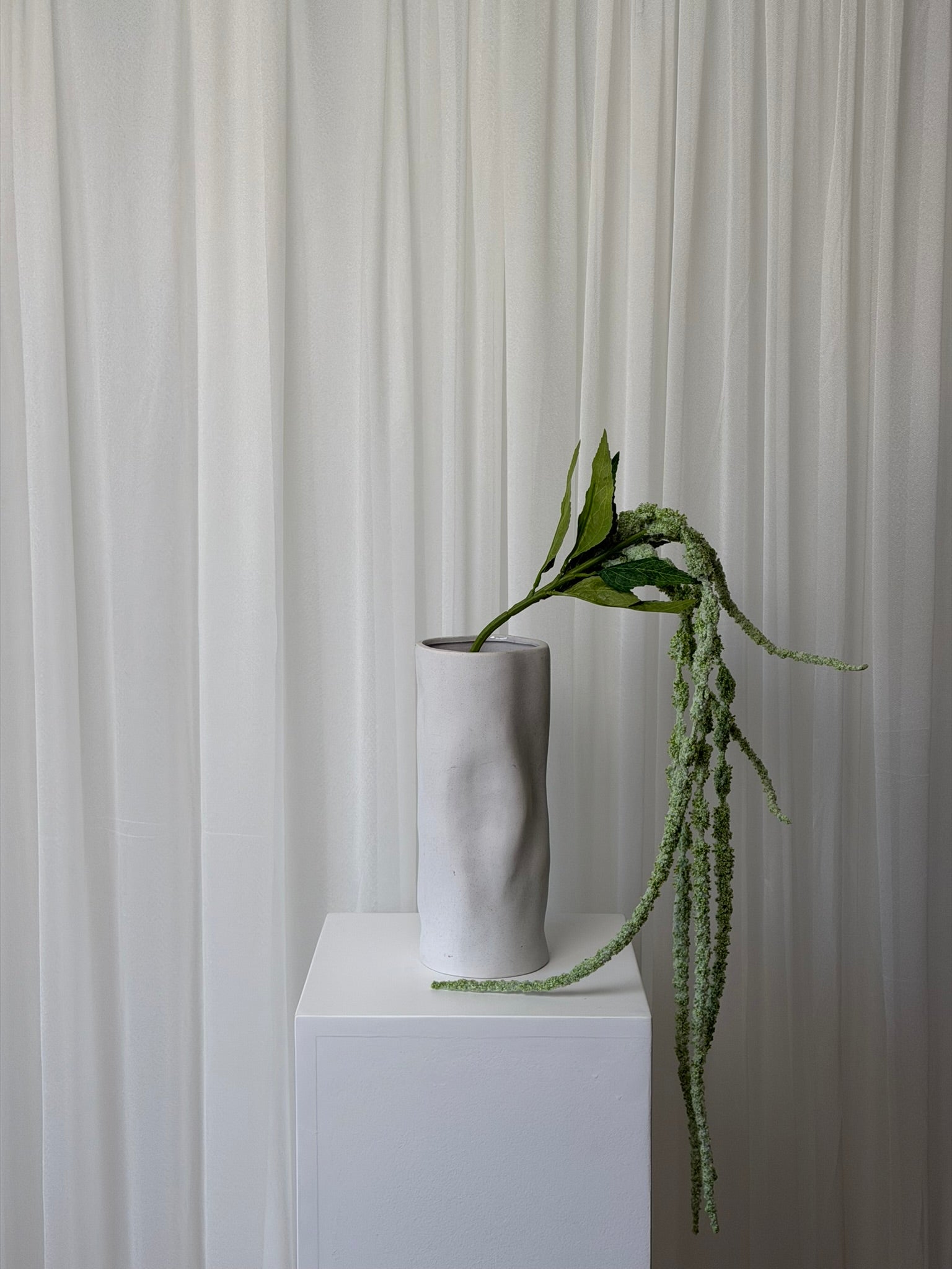 Amaranthus