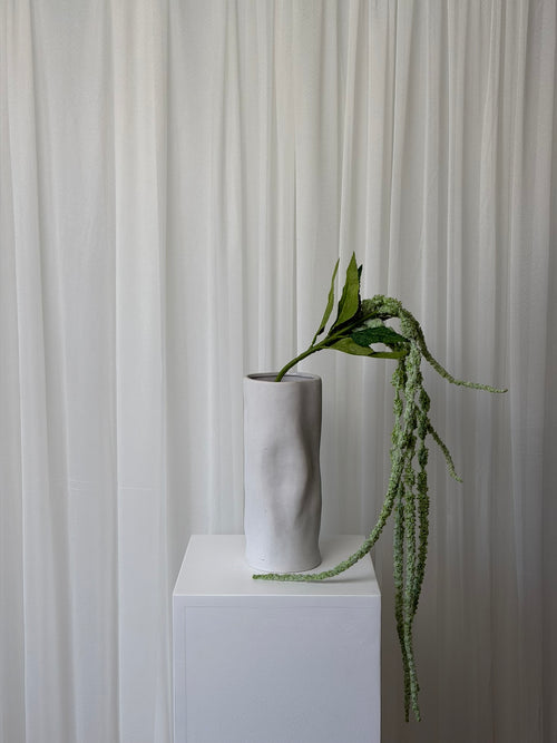 Amaranthus