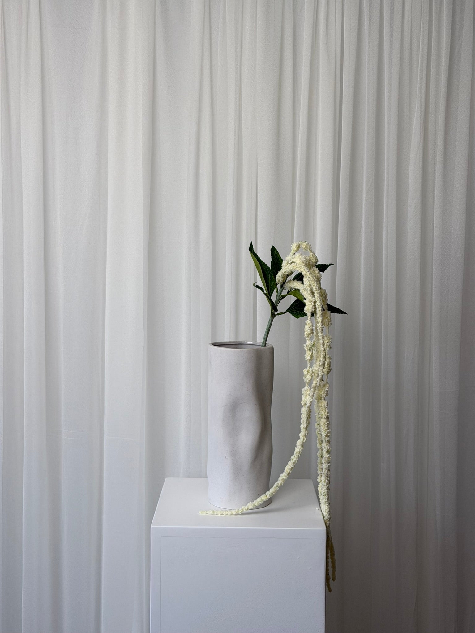 Amaranthus