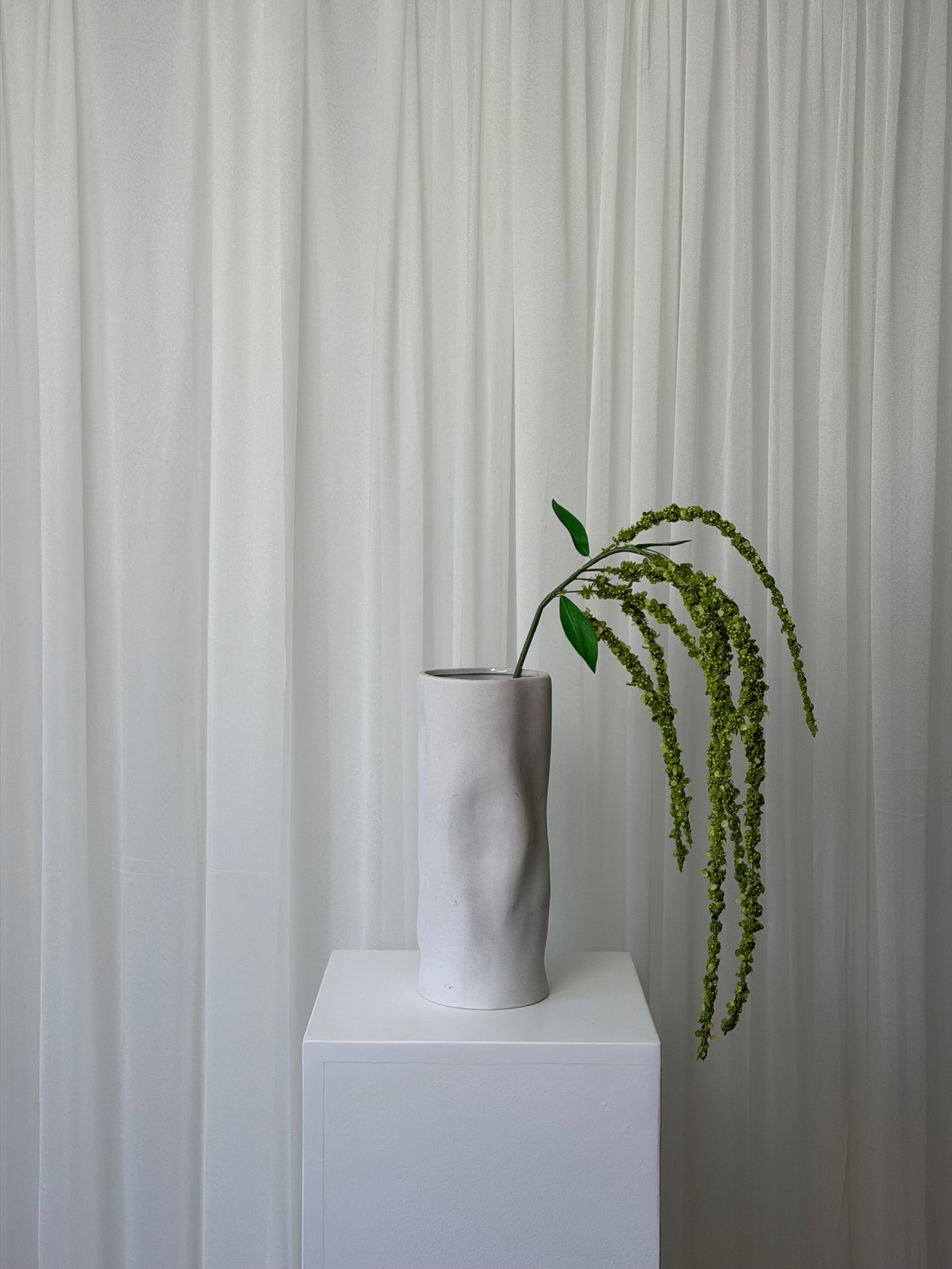 Amaranthus