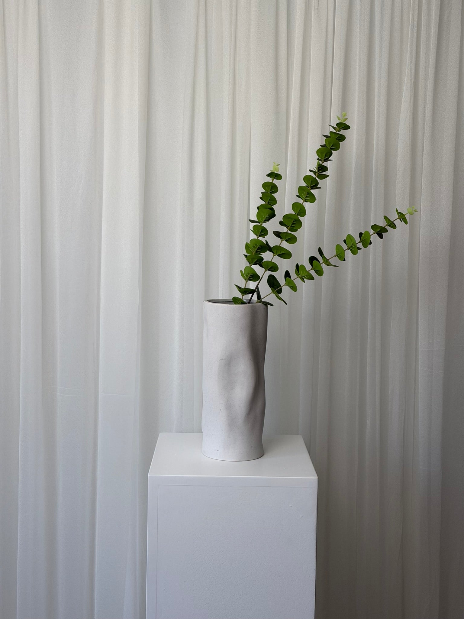 Eucalyptus