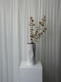 Eucalyptus