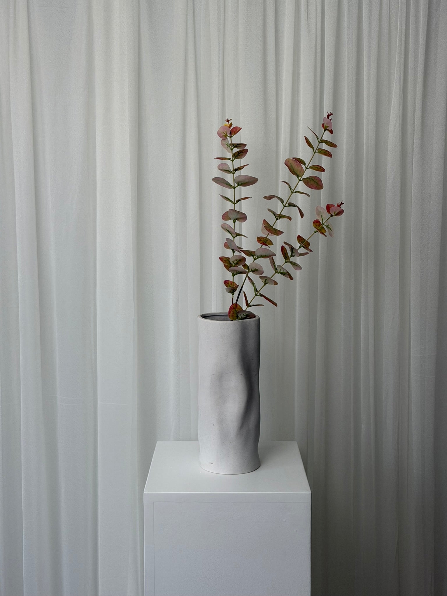 Eucalyptus