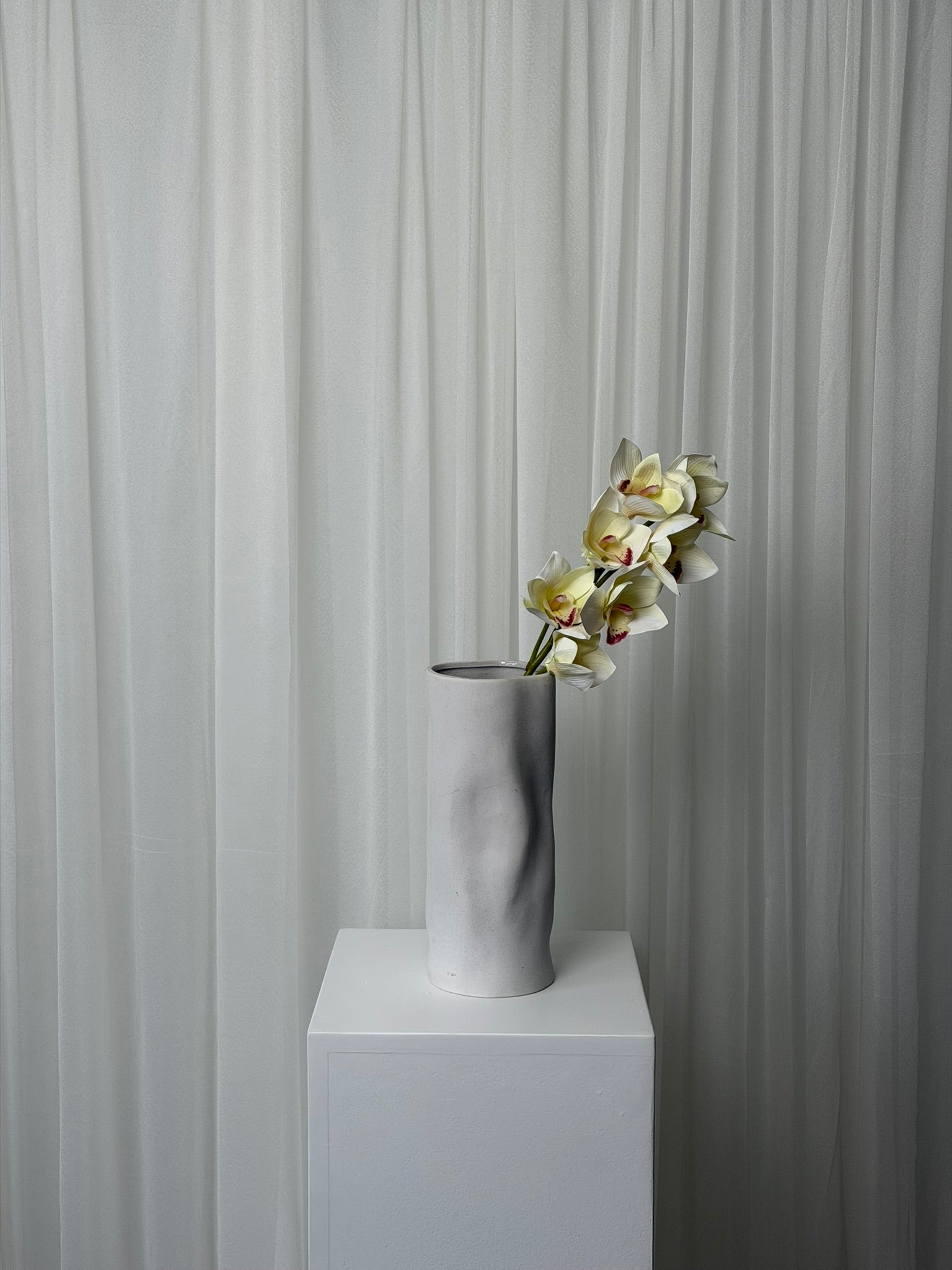 Orquídea