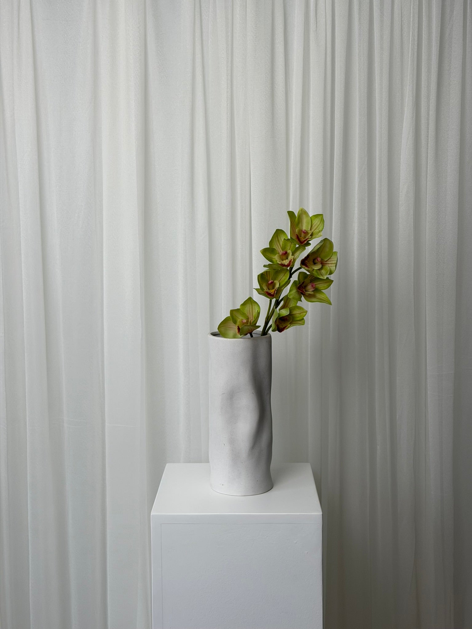 Orquídea