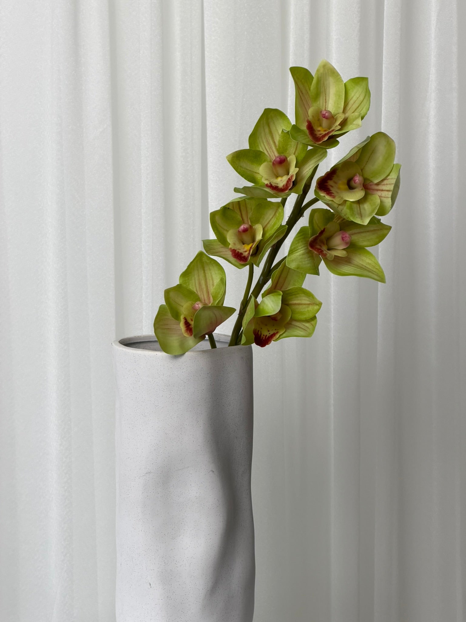 Orquídea