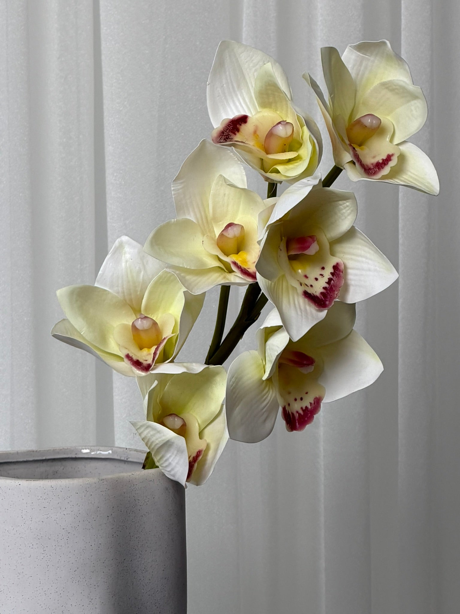 Orquídea