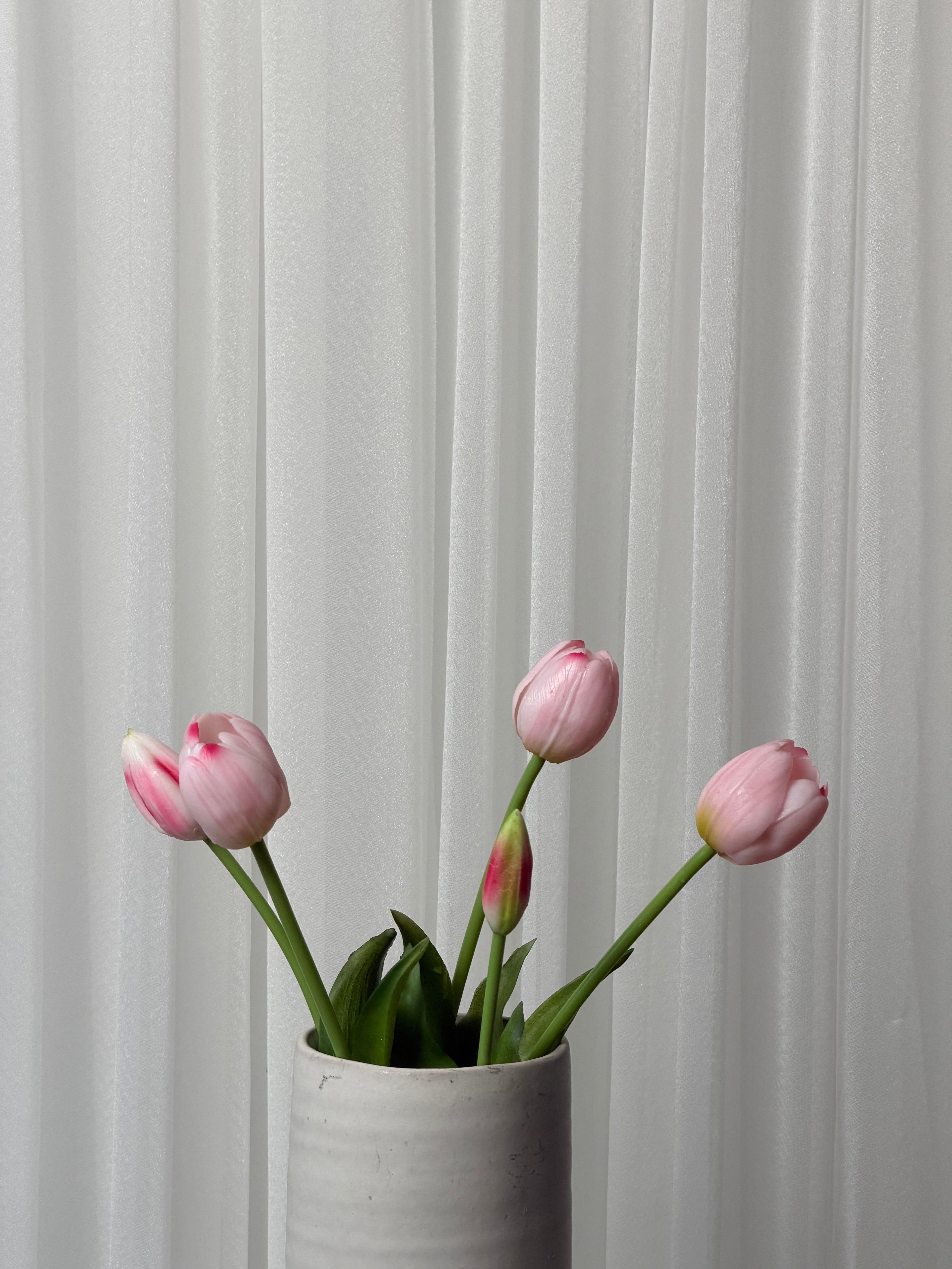 Bouquet de Tulipas