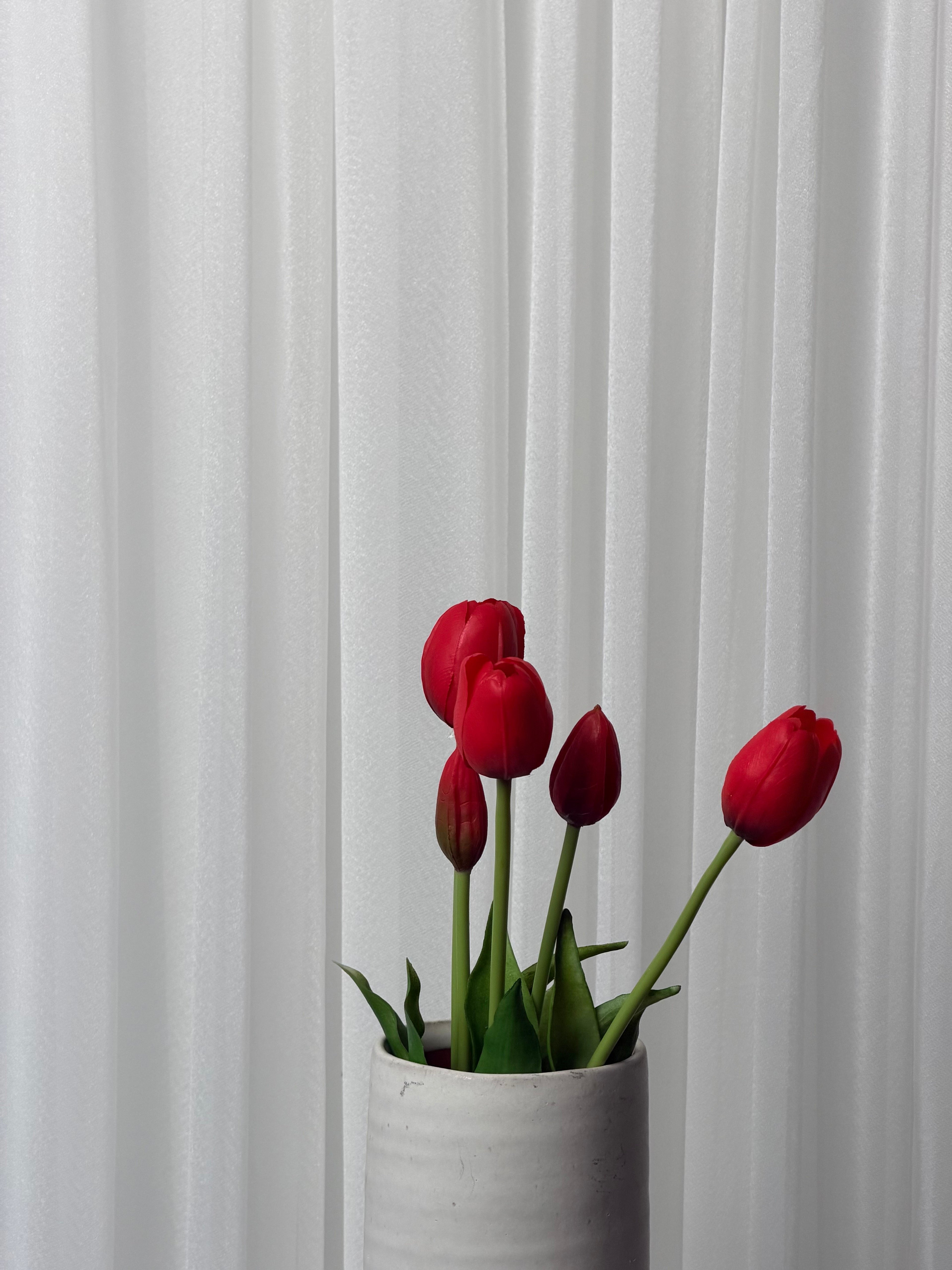 Bouquet de Tulipas