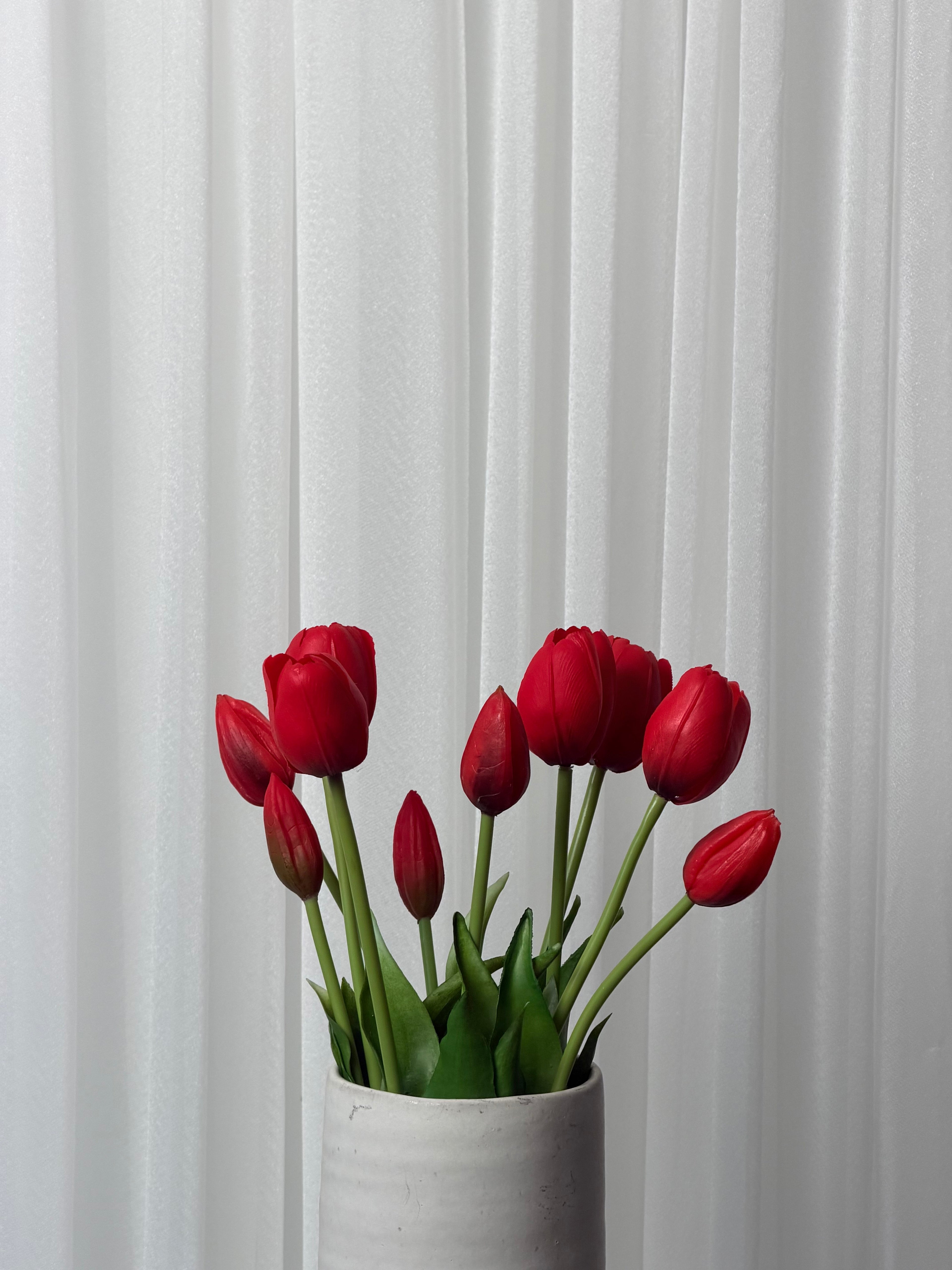 Bouquet de Tulipas