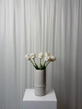 Bouquet Tulipas Parrot