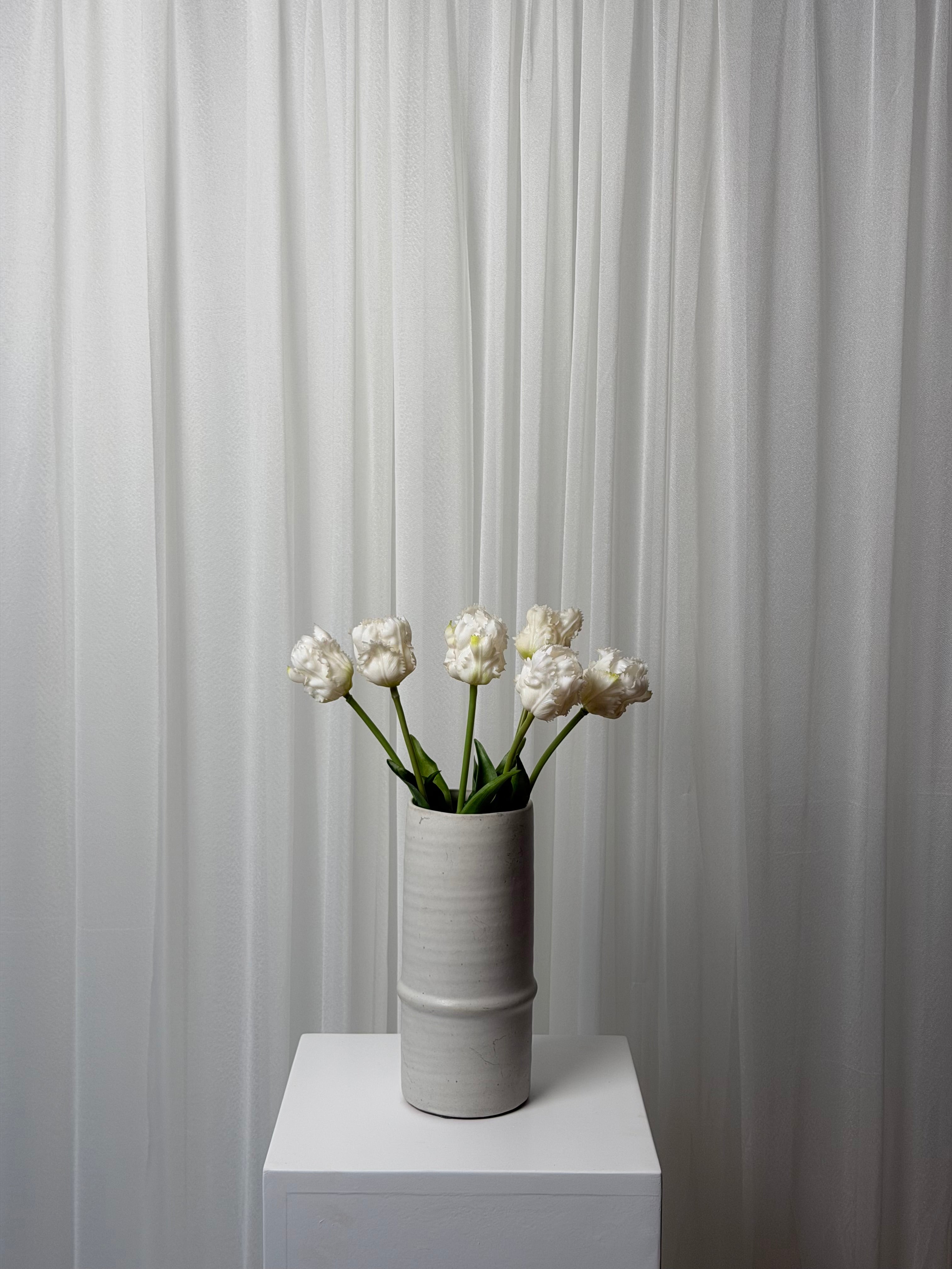 Bouquet Tulipas Parrot