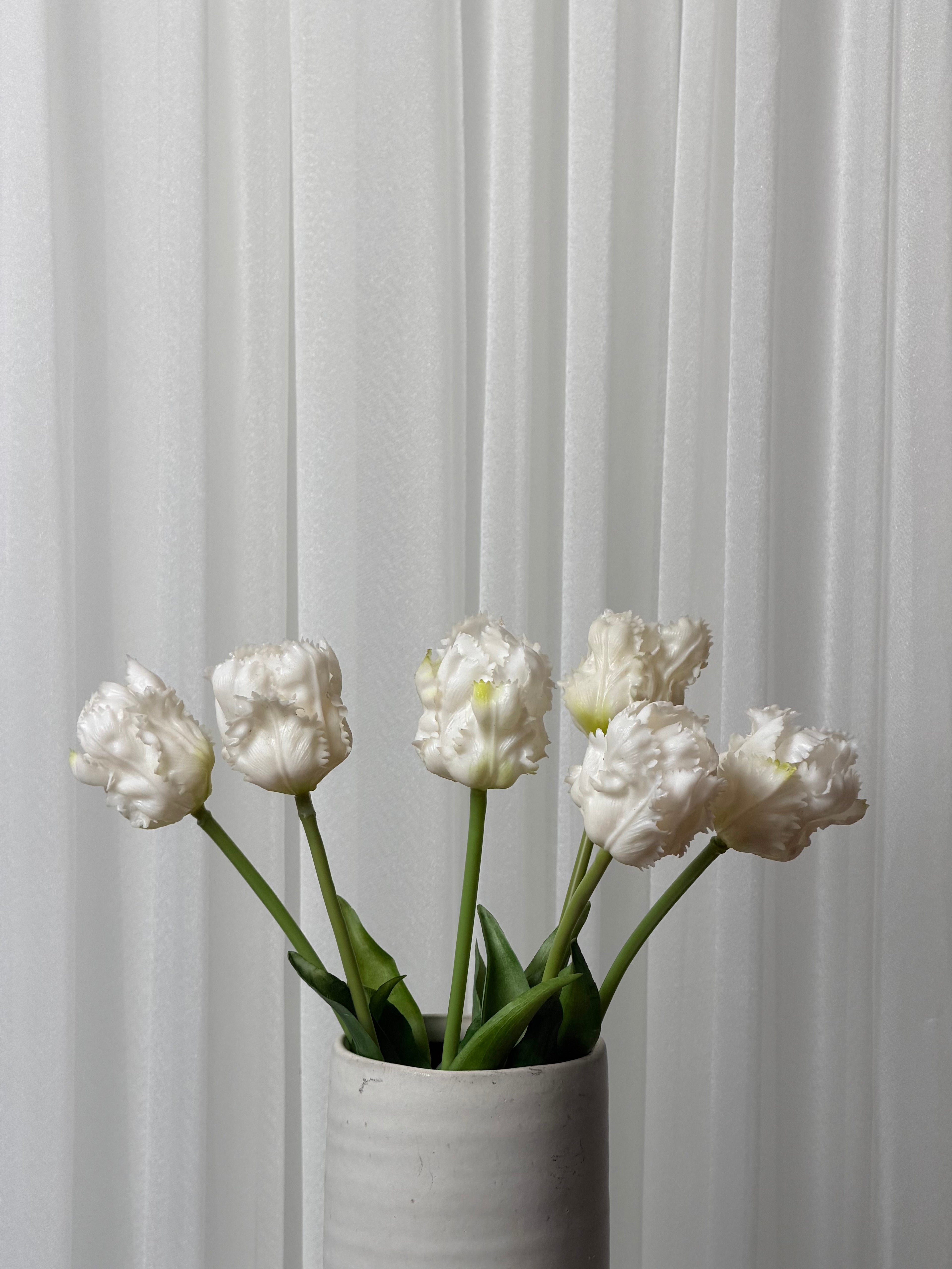 Bouquet Tulipas Parrot