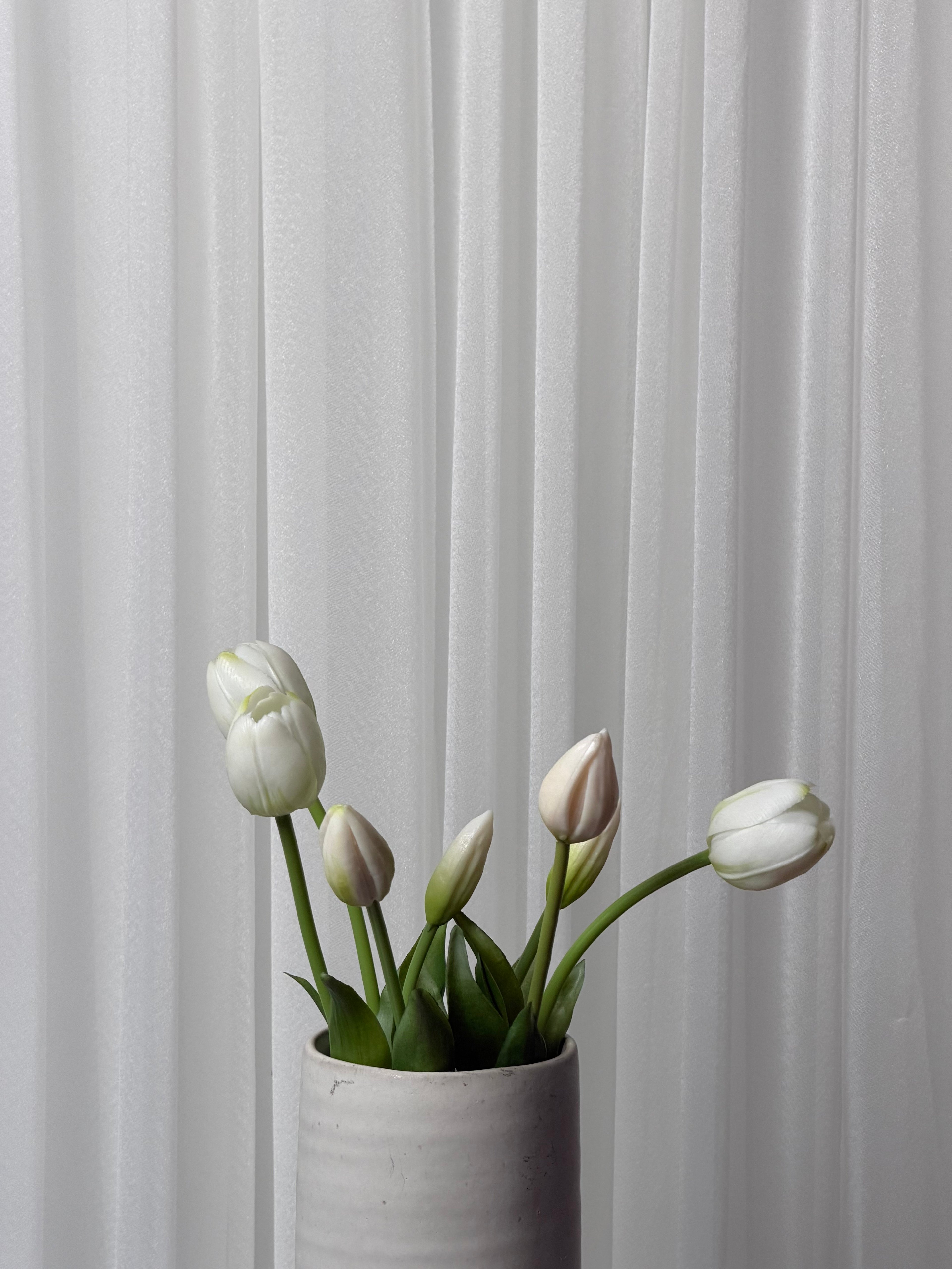 Bouquet de Tulipas