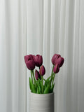 Bouquet de Tulipas