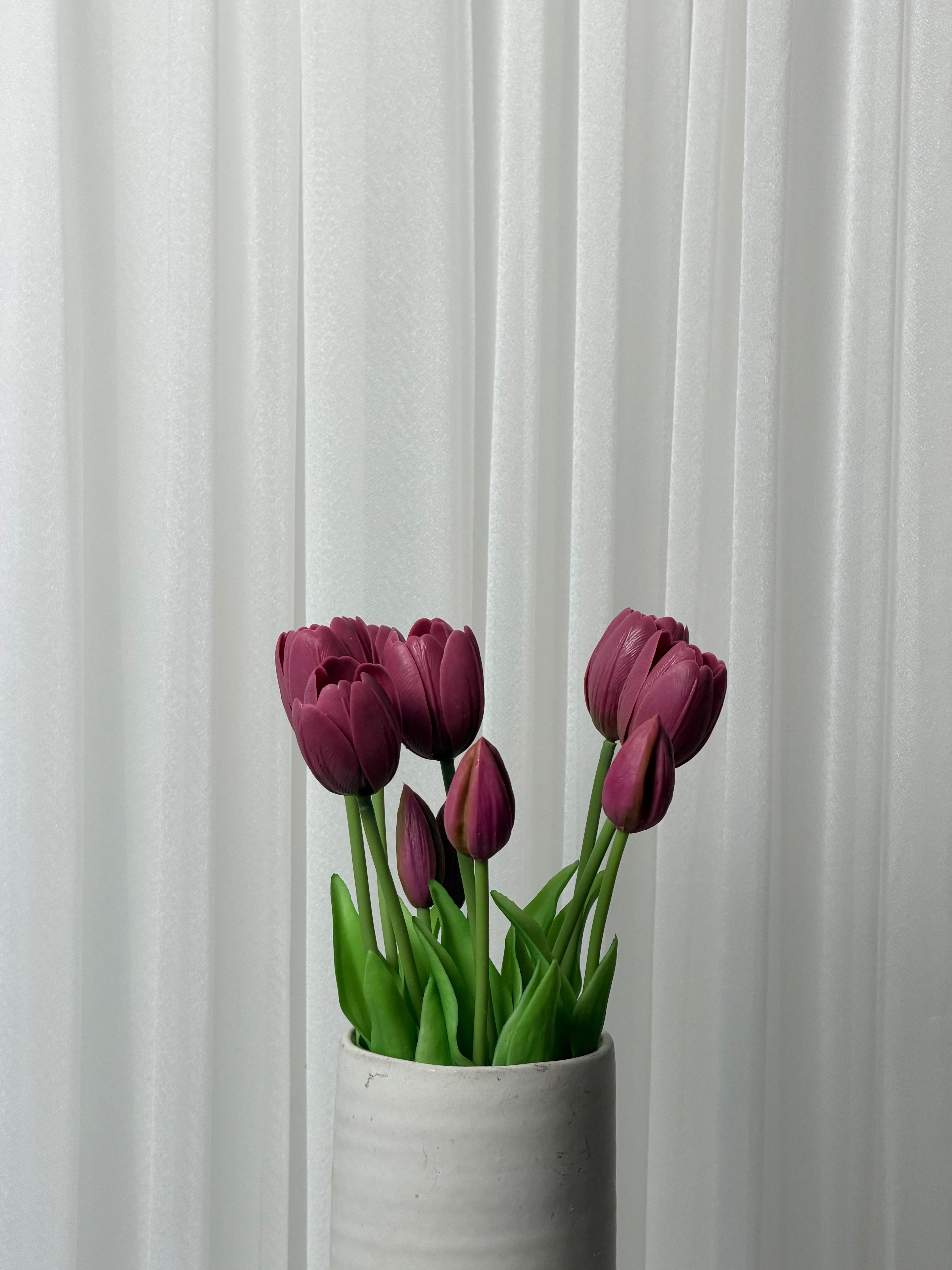 Bouquet de Tulipas