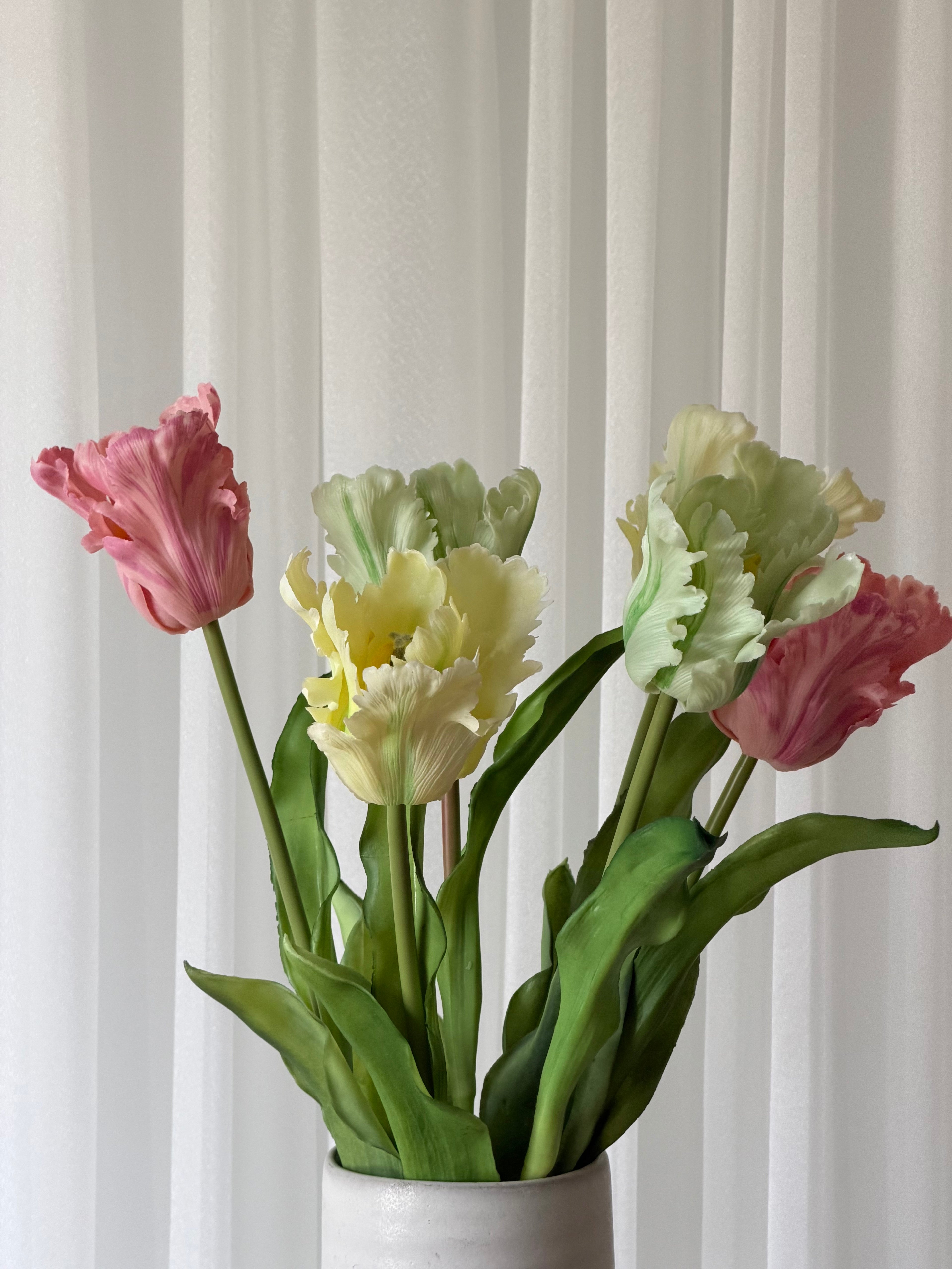 Tulipas Parrot 50cm